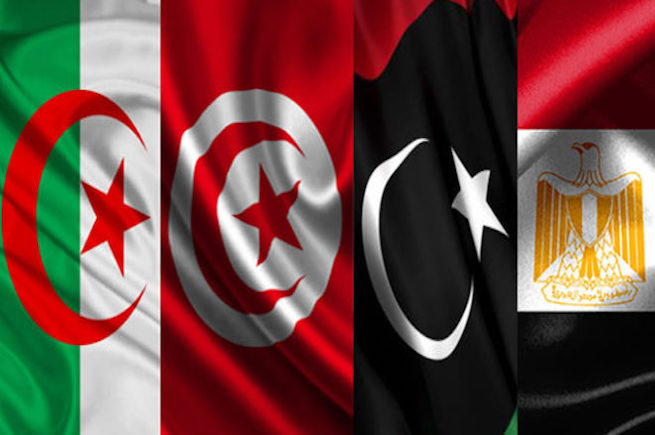 دول الجوار: القواسم المشتركة والتناقضات تجاه الأزمة الليبية 